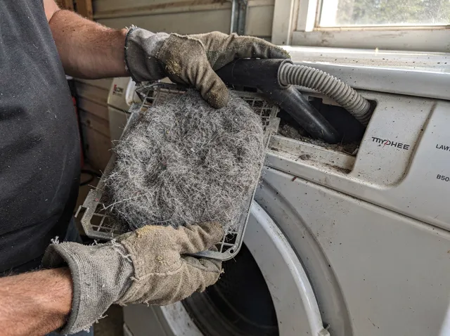 Cleaning Dryer Lint Trap in Maynard